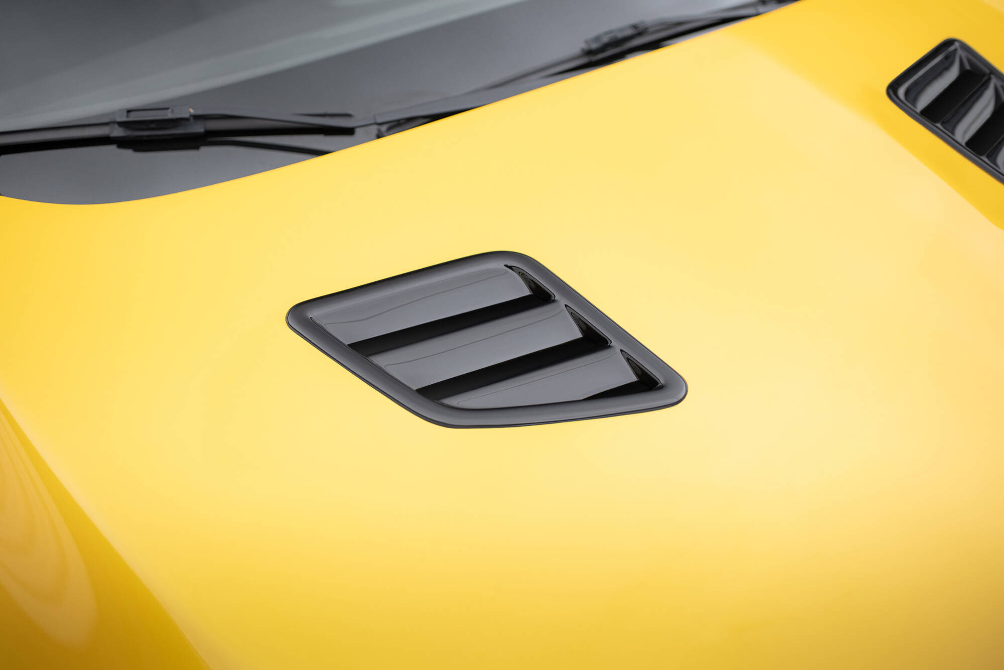 pol_po_Bonnet-Vents-459_6 pol_po_Bonnet-Vents-459_6
